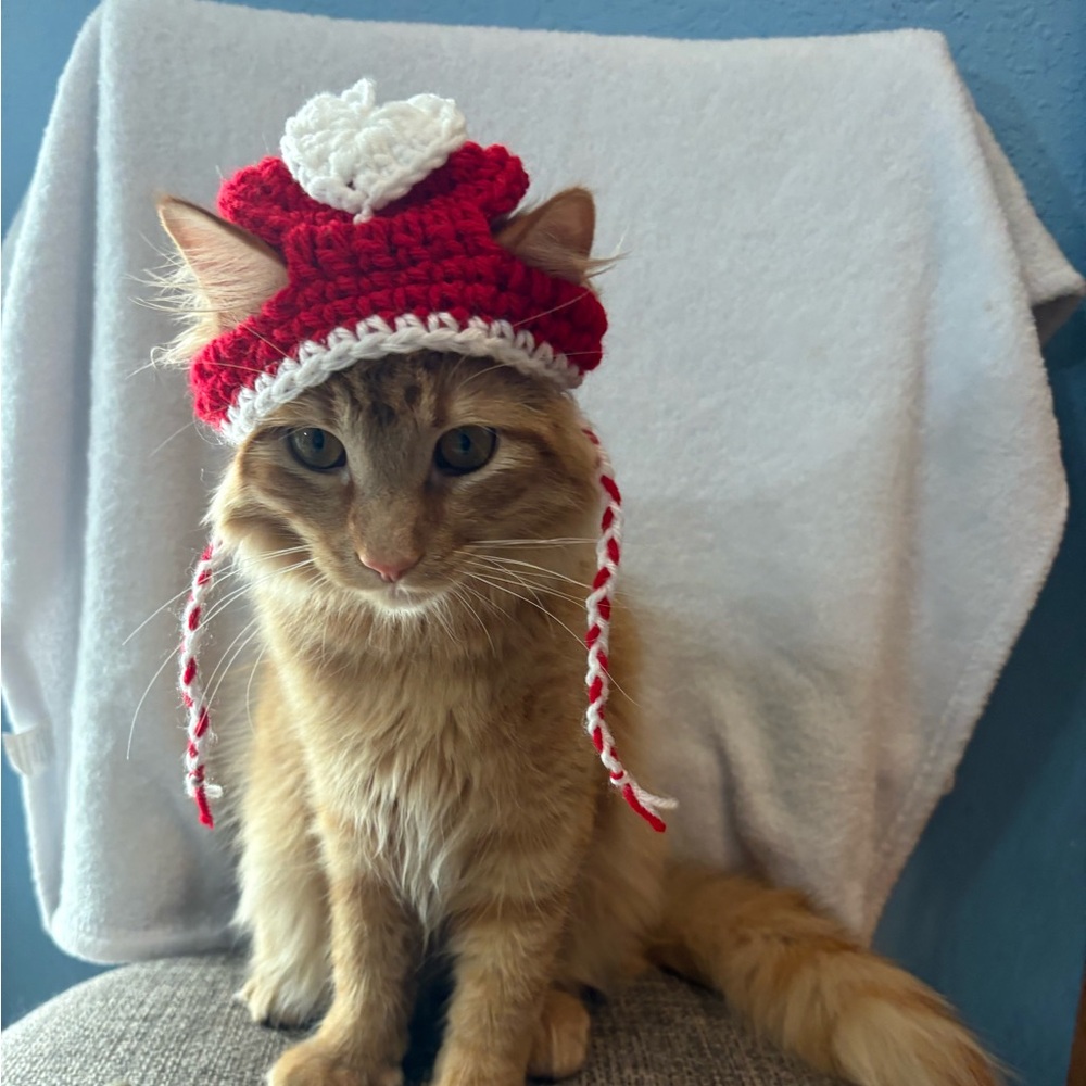 Handmade Red & White Crochet Cat Hat - Pet Costume Valentine’s heart
